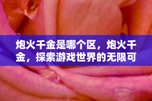 炮火千金是哪个区，炮火千金，探索游戏世界的无限可能