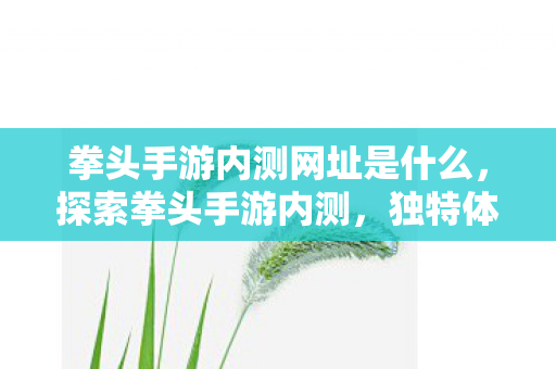 拳头手游内测网址是什么，探索拳头手游内测，独特体验与未来展望