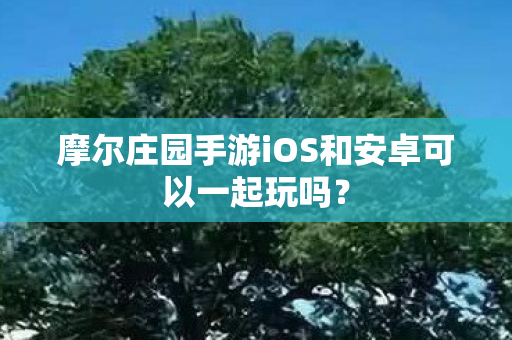 摩尔庄园手游iOS和安卓可以一起玩吗？