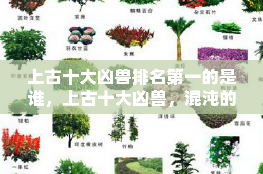 上古十大凶兽排名第一的是谁，上古十大凶兽，混沌的传奇与神秘