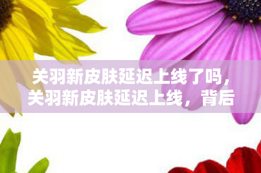 关羽新皮肤延迟上线了吗，关羽新皮肤延迟上线，背后的故事与期待