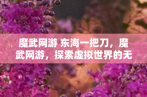 魔武网游 东海一把刀，魔武网游，探索虚拟世界的无限可能