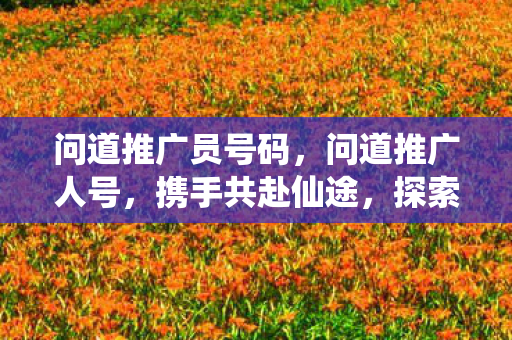 问道推广员号码，问道推广人号，携手共赴仙途，探索无限可能