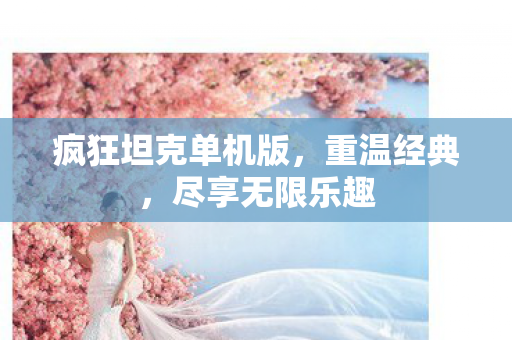 疯狂坦克单机版，重温经典，尽享无限乐趣