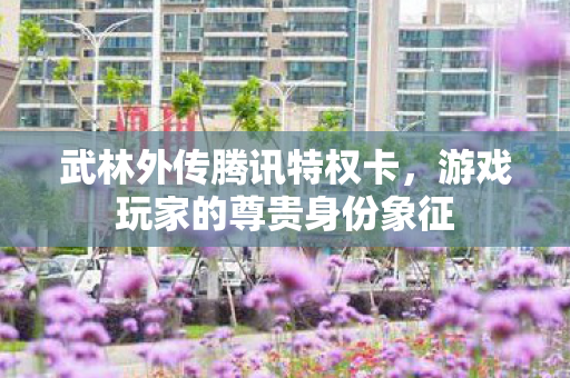 武林外传腾讯特权卡，游戏玩家的尊贵身份象征