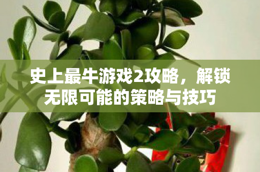 史上最牛游戏2攻略，解锁无限可能的策略与技巧