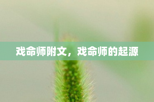 戏命师附文，戏命师的起源