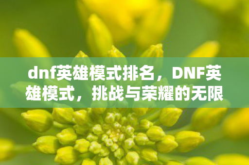 dnf英雄模式排名，DNF英雄模式，挑战与荣耀的无限循环