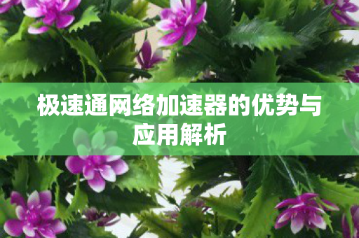 极速通网络加速器的优势与应用解析