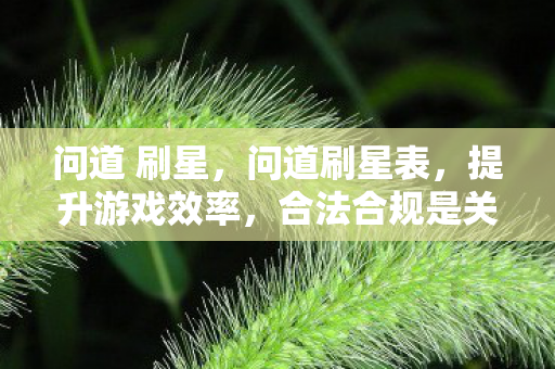 问道 刷星，问道刷星表，提升游戏效率，合法合规是关键