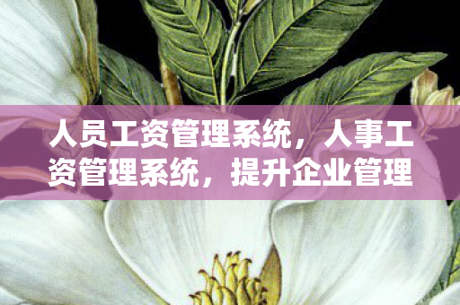 人员工资管理系统，人事工资管理系统，提升企业管理效率的关键工具