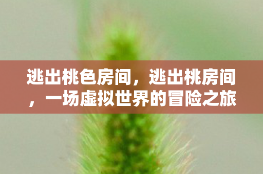 逃出桃色房间，逃出桃房间，一场虚拟世界的冒险之旅