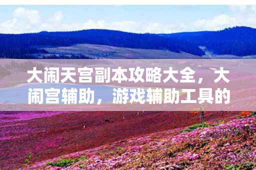大闹天宫副本攻略大全，大闹宫辅助，游戏辅助工具的正确使用与合规性探讨