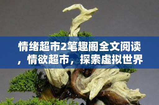 情绪超市2笔趣阁全文阅读，情欲超市，探索虚拟世界的无限可能