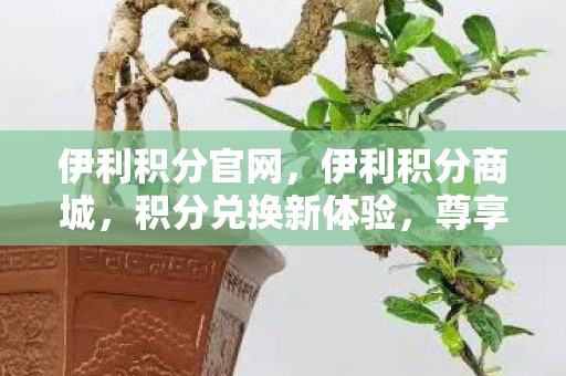 伊利积分官网，伊利积分商城，积分兑换新体验，尊享更多优惠