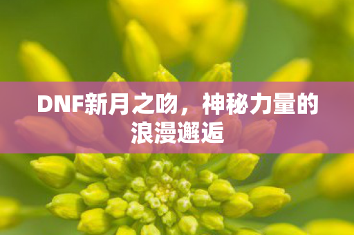 DNF新月之吻，神秘力量的浪漫邂逅