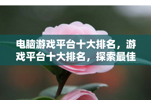电脑游戏平台十大排名，游戏平台十大排名，探索最佳游戏乐园