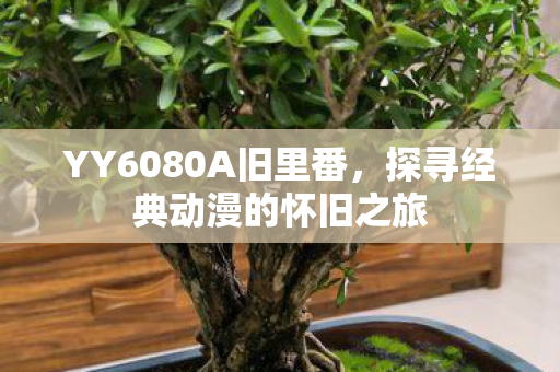 YY6080A旧里番，探寻经典动漫的怀旧之旅