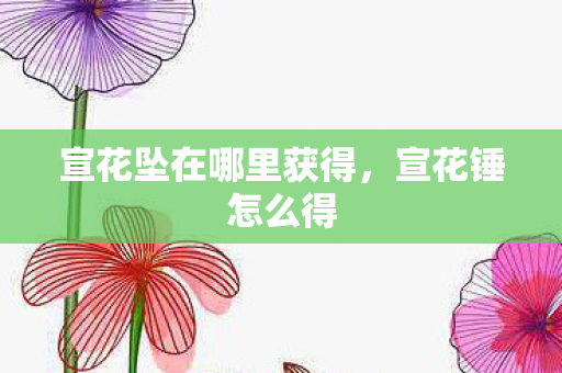 宣花坠在哪里获得，宣花锤怎么得