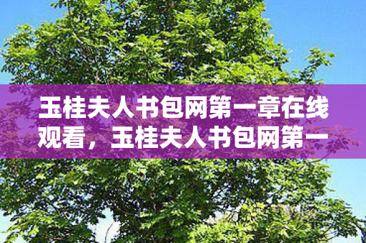 玉桂夫人书包网第一章在线观看，玉桂夫人书包网第一章，探索文学与梦想的交汇点