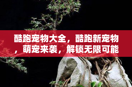酷跑宠物大全，酷跑新宠物，萌宠来袭，解锁无限可能