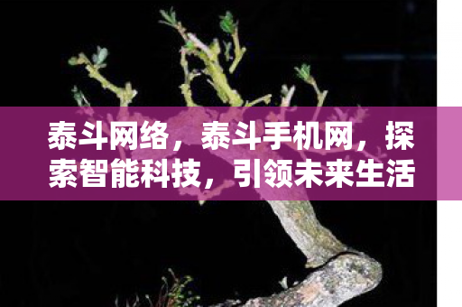 泰斗网络，泰斗手机网，探索智能科技，引领未来生活