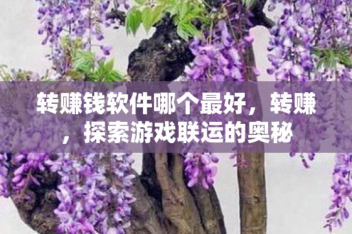 转赚钱软件哪个最好，转赚，探索游戏联运的奥秘