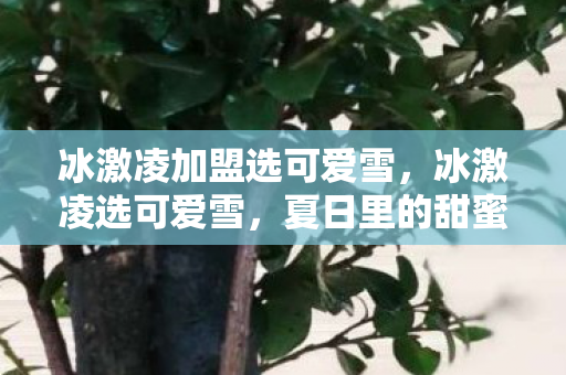 冰激凌加盟选可爱雪，冰激凌选可爱雪，夏日里的甜蜜选择