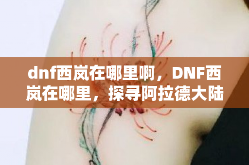dnf西岚在哪里啊，DNF西岚在哪里，探寻阿拉德大陆的英雄传说