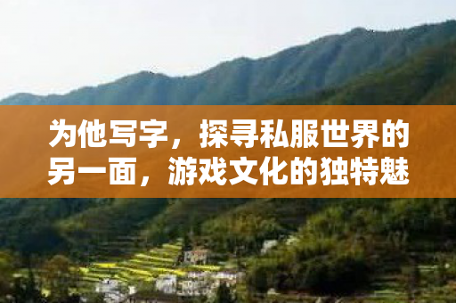 为他写字，探寻私服世界的另一面，游戏文化的独特魅力与玩家心声