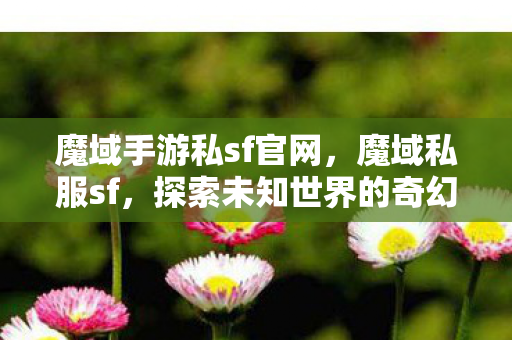魔域手游私sf官网，魔域私服sf，探索未知世界的奇幻之旅