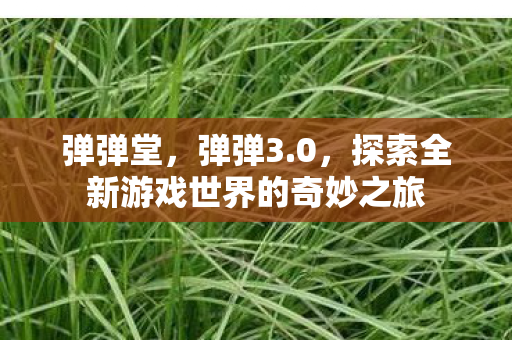 弹弹堂，弹弹3.0，探索全新游戏世界的奇妙之旅