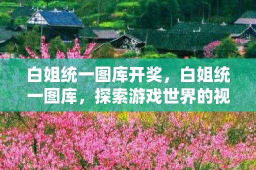 白姐统一图库开奖，白姐统一图库，探索游戏世界的视觉盛宴