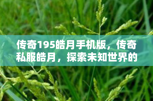 传奇195皓月手机版，传奇私服皓月，探索未知世界的奇幻之旅