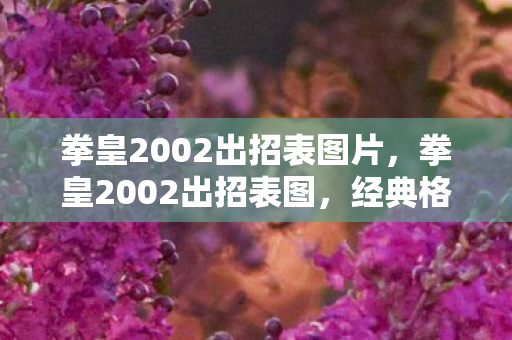 拳皇2002出招表图片，拳皇2002出招表图，经典格斗游戏的操作指南