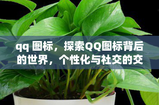 qq 图标，探索QQ图标背后的世界，个性化与社交的交汇点
