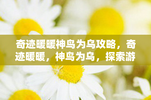 奇迹暖暖神鸟为乌攻略，奇迹暖暖，神鸟为乌，探索游戏世界的奥秘
