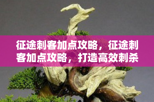 征途刺客加点攻略，征途刺客加点攻略，打造高效刺杀机器