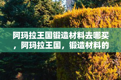 阿玛拉王国锻造材料去哪买，阿玛拉王国，锻造材料的奥秘与探索