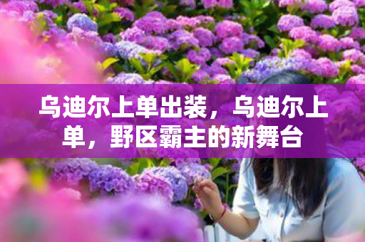 乌迪尔上单出装，乌迪尔上单，野区霸主的新舞台