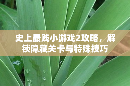史上最贱小游戏2攻略，解锁隐藏关卡与特殊技巧