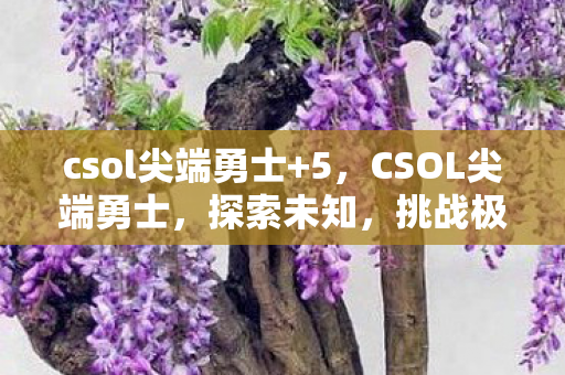 csol尖端勇士+5，CSOL尖端勇士，探索未知，挑战极限