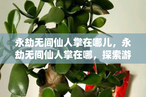 永劫无间仙人掌在哪儿，永劫无间仙人掌在哪，探索游戏中的神秘绿洲
