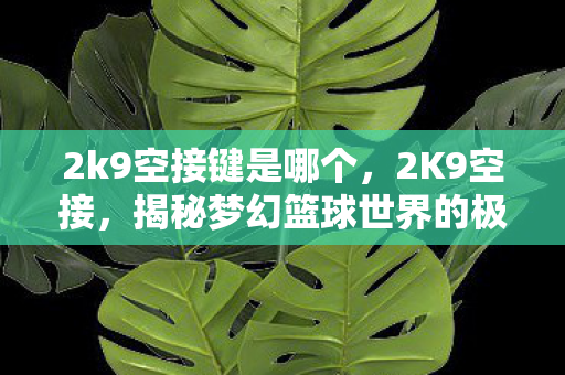 2k9空接键是哪个，2K9空接，揭秘梦幻篮球世界的极限操作