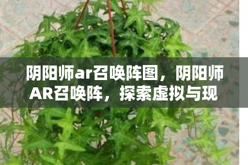 阴阳师ar召唤阵图，阴阳师AR召唤阵，探索虚拟与现实的神秘交汇