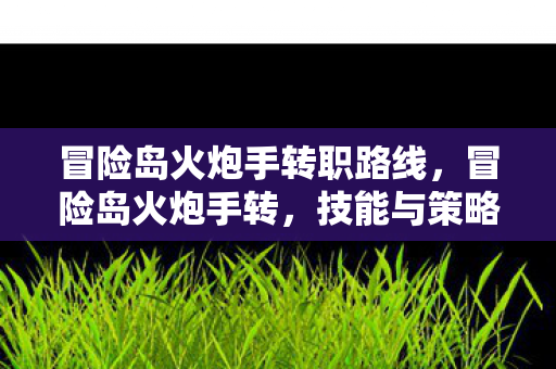 冒险岛火炮手转职路线，冒险岛火炮手转，技能与策略的深度解析