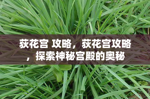 荻花宫 攻略，荻花宫攻略，探索神秘宫殿的奥秘