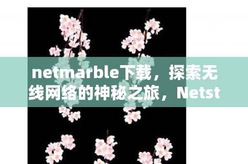 netmarble下载，探索无线网络的神秘之旅，Netstumbler中文版的深度解析