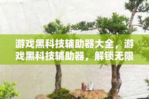 游戏黑科技辅助器大全，游戏黑科技辅助器，解锁无限可能的神秘钥匙