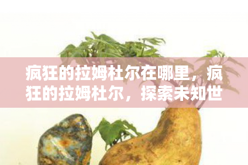 疯狂的拉姆杜尔在哪里，疯狂的拉姆杜尔，探索未知世界的奇幻之旅